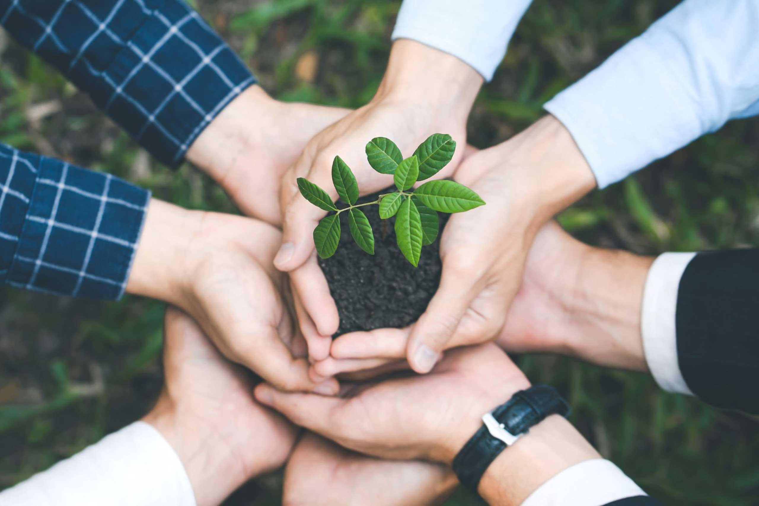 CSR e sostenibilità: come trasformare l’impegno aziendale in un vantaggio competitivo